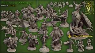 中古野林圣所骑战士 圣女 巫师 龙与地下城dnd跑团桌游战棋模型