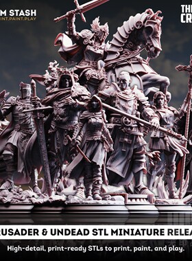 【远征十字军】人类 矮人 精灵 圣骑士 圣武士 DND桌游棋子模型