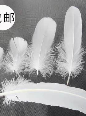 厂家直销diy白色饰品装饰羽毛