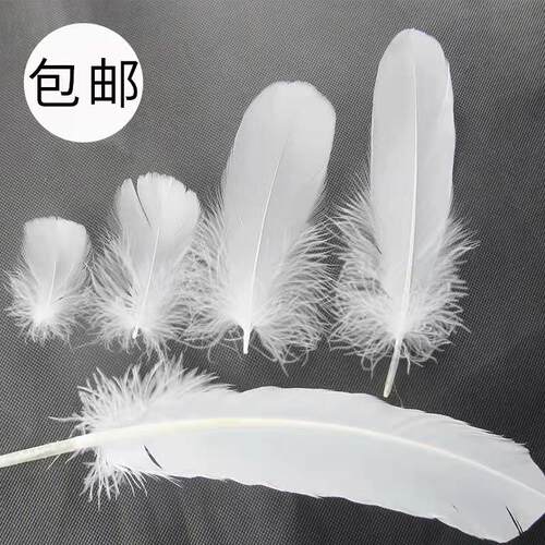 diy白色手工羽毛大小号各种款集合舞台婚庆饰品配件工艺装饰辅料 - 封面