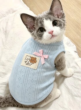 德文猫衣服幼猫专用猫咪夏季外出宠物服饰可爱的蝴蝶结日常针织衫