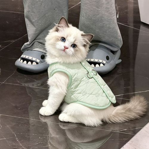 冬季猫咪衣服加厚小猫咪衣服冬天小奶猫衣服高颜值服保暖防寒防脏