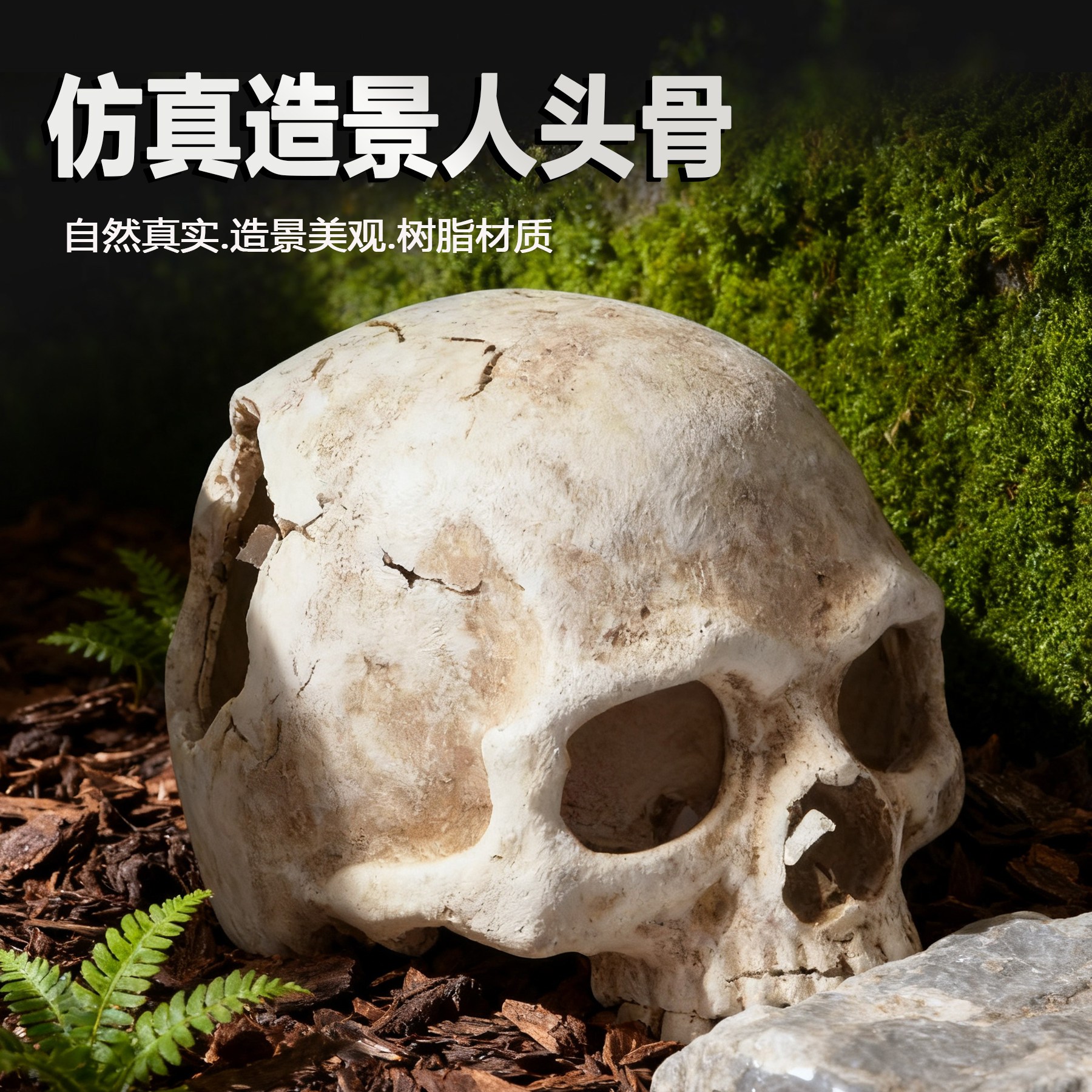 爬宠装饰造景头骨躲避树脂仿真恐龙宠物蜥蜴爬虫屋造景爬宠饲养箱,宠物/宠物食品及用品,爬宠躲避/造景,淘宝优惠券,粉丝福利购,淘宝优惠卷