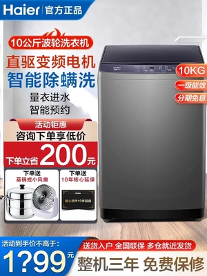 Haier/海尔XQB100-BZ206家用波轮洗衣机10公斤全自动超大容量抗菌
