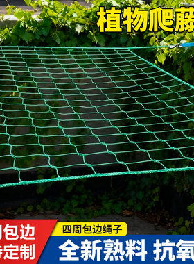 植物爬藤网百香果丝瓜种植网网格网爬架网瓜果攀爬网爬藤架瓜棚网