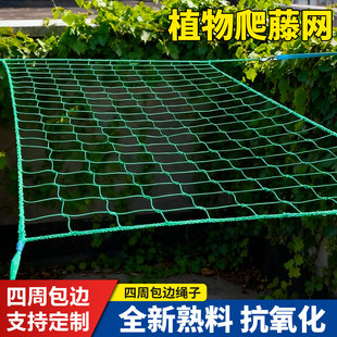 植物爬藤网百香果丝瓜种植网网格网爬架网瓜果攀爬网爬藤架瓜棚网