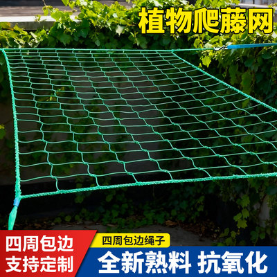 腾江植物爬藤网全新料可用6年