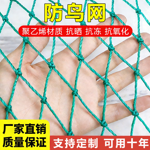 防鸟网天网养殖养鸡围网等多用途