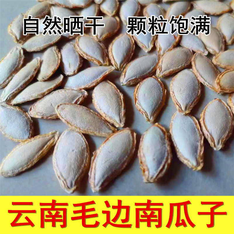 云南毛边生南瓜子大粒精选饱满农家自种原味散装新货老品种南瓜籽