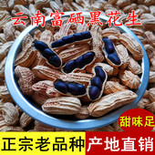 云南老品种小粒富硒黑花生七彩甜味带壳新货散装 去壳紫黑皮花生米