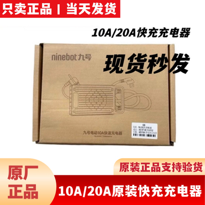 适用九9号原厂10A20A充电器锂电池快充Fz3MzF2Z机2Mmax210A充电器