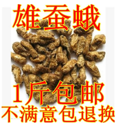雄蚕蛾可磨粉中药材包邮