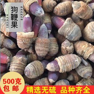 狗鞭果广西野生风流果猪仔粒男人泡酒料中药材干货毛毛大果锁阳果