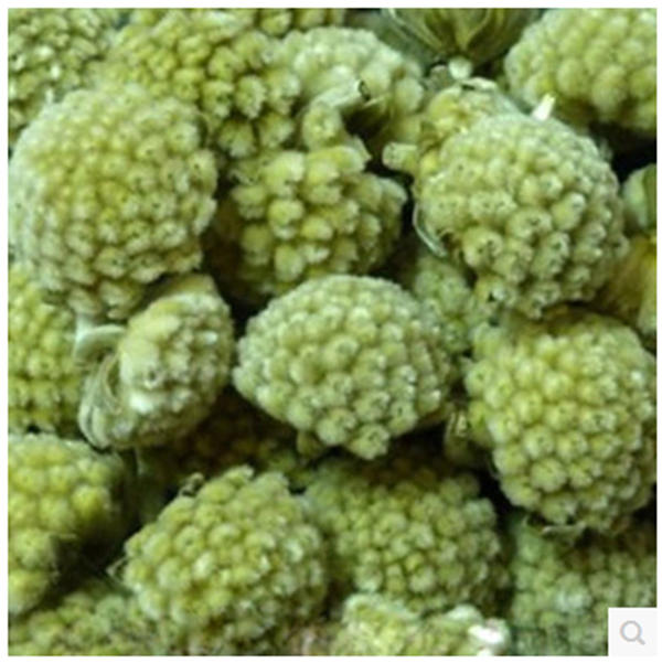 绿萝花 西藏绿萝花 绿罗花 雪丽 特级绿箩花茶 大花500克包邮