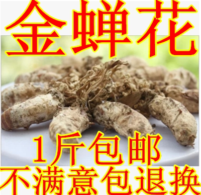 大别山金蝉花知了花虫草花金蚕花 金蝉花虫草替代品500克包邮