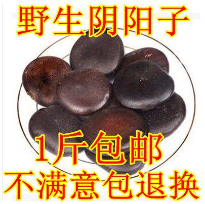 阴阳子西藏中药材500g包邮