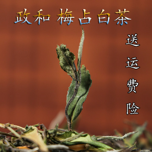 政和高山散装茶叶梅占花香白茶