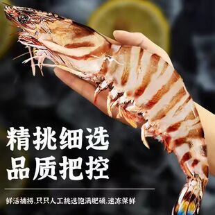 特大超大竹节虾新鲜速冻斑节虾鲜活冷冻九节虾鲜嫩野生海鲜基围虾