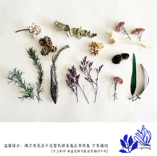 节日礼物包装手账装饰婚礼植物干花diy手工香薰疗愈ins松果松枝