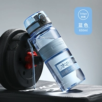 Blue 650 мл (импортный материал Tritan) Страхование грузовых перевозок+1 год гарантии