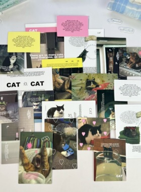 韩国ins风CAT猫咪贴纸包实物文字标签手帐装饰摆拍素材拍摄道具