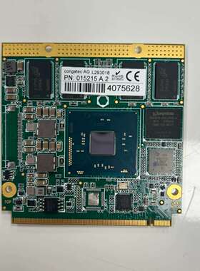 congatec AG L290318 PN:015215-议价