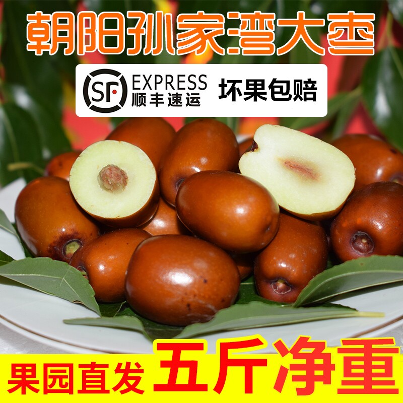 正宗朝阳孙家湾大枣现摘顺丰直达