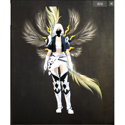 激战2以太界限护手皮肤商城道具黑狮宝石含wegame