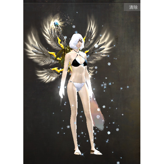 激战2尖耳包裹商城道具黑狮宝石含wegame,游戏服务,游戏代练（新）,淘宝优惠券,粉丝福利购,淘宝优惠卷