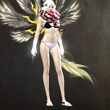 激战2披巾皮肤商城道具宝石含wegame