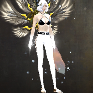 激战2侧边系带长裤 皮肤商城道具黑狮宝石含wegame