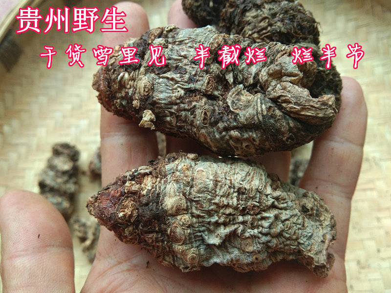 贵州特产野生雪里见干货50g 中草药材半截烂半节蛇包谷躲雷草包邮