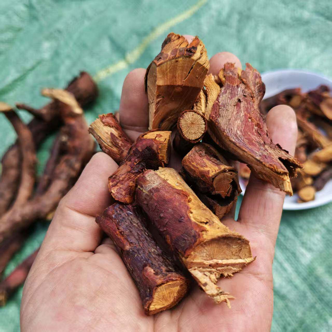 贵州刺梨根泡酒中药材 山刺梨根根炖猪肚草药茨藜根野刺梨根500克