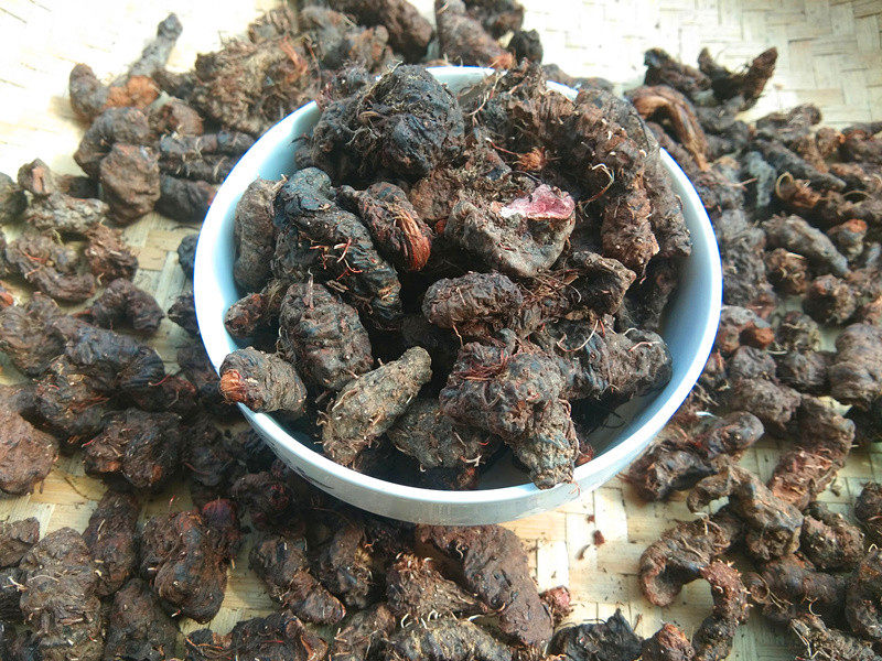 贵州草药拳参 中药材草血竭根地马蜂老腰弓一口血地蜂子干货500克
