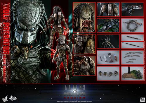 现货HT HotToys 1/6 MMS443 铁血战士 独狼 2.0 重装版 模型手办