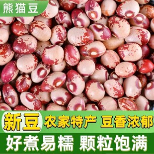 女性常备熊猫豆猫眼豆花饭豆云豆煮粥煲汤打豆浆的五谷杂粮新货