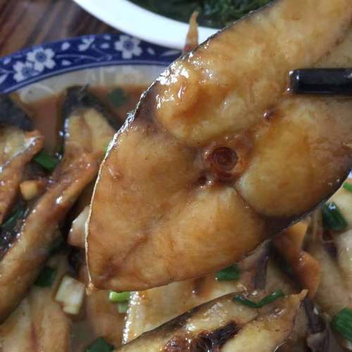 温州特产海鲜鲜淡马鲛鱼红烧煎