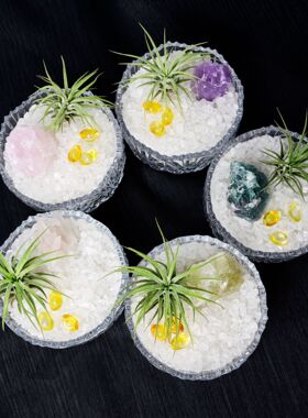 天然水晶招财微景观空气凤梨消磁白水晶碎石元宝家居桌面装饰摆件