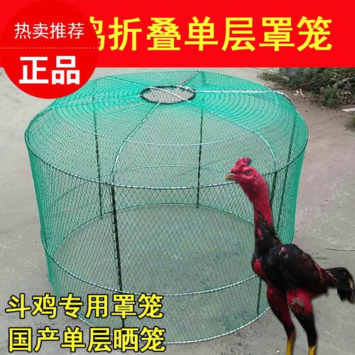 斗鸡跑笼斗鸡单层跑笼斗鸡罩笼斗鸡训练用品跑笼