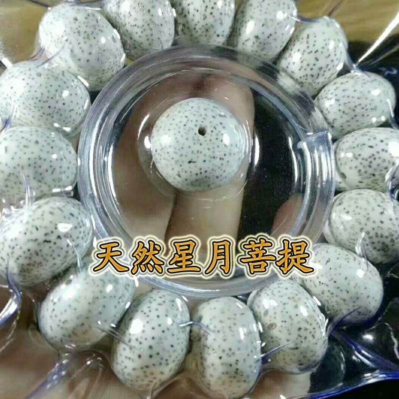 海南星月菩提玄月苹果12x17星月菩提手串大颗 星月菩提子单圈手串
