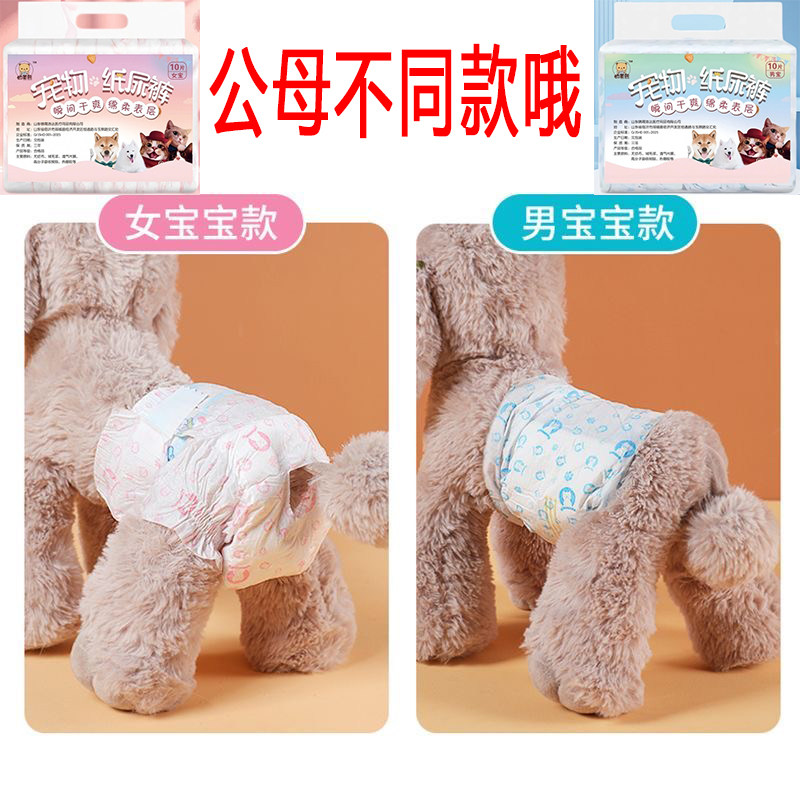 狗狗纸尿裤公狗尿不湿母狗生理裤小型犬专用宠物泰迪经期裤纸尿裤