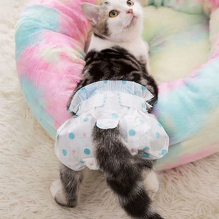 猫咪尿不湿公猫尿片母猫生理裤月经裤尿片宠物纸尿裤猫咪专用尿布