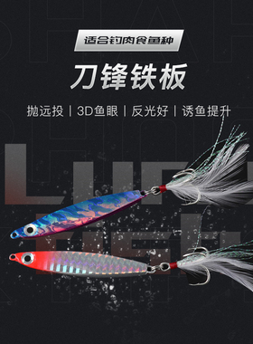 万亚岸抛小铁板假饵亮片路亚亮片金属饵铁板铅鱼饵22gIMA