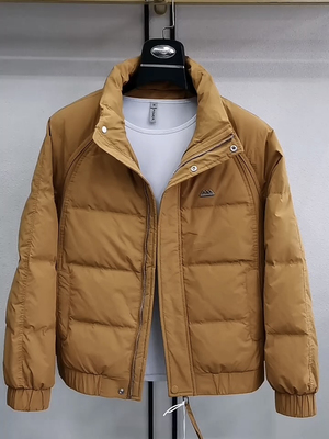 短款羽绒服男冬季韩版帅气青年立领外套轻薄时尚百搭修身保暖外套