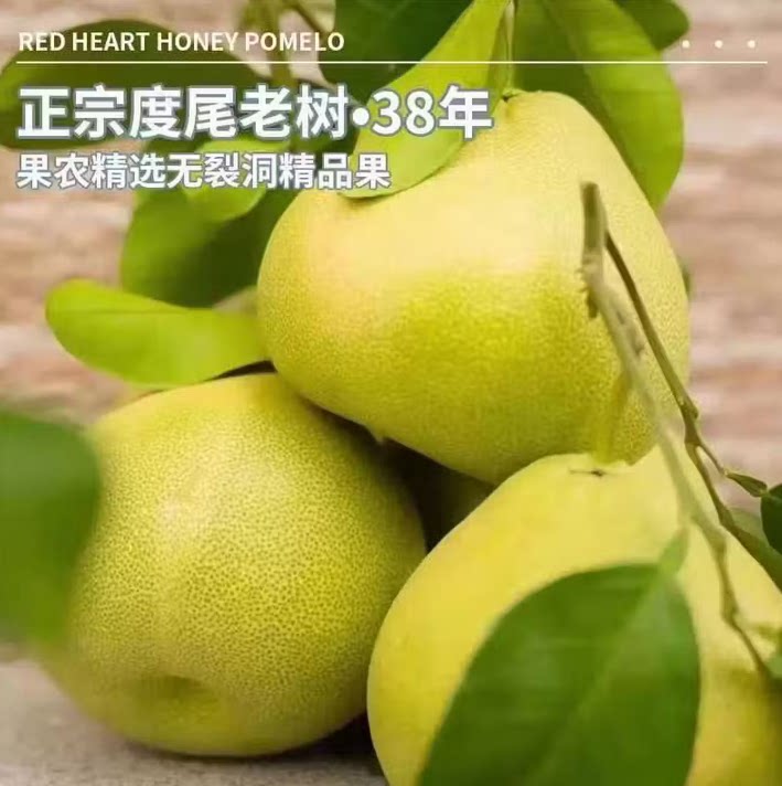 福建仙游度尾文旦柚红心老树果