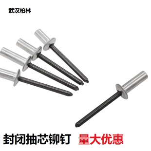 抽芯铆钉圆头封闭扁圆头铆钉M4柳钉10 铝铁防水拉铆钉