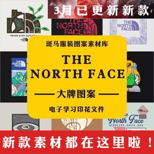THE NORTH FACE大牌国际品牌北面流行趋势学习参考资料图案素材