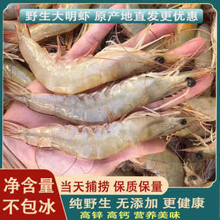 野生明虾新鲜明虾当天海捕白虾鲜冻白刺虾基围虾现货速冻海鲜大虾