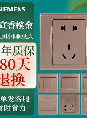白板品宜香槟金色五孔USB插座