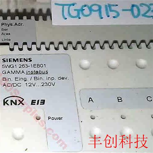 二进制输入模块 Siemens 5WG1 263-1E